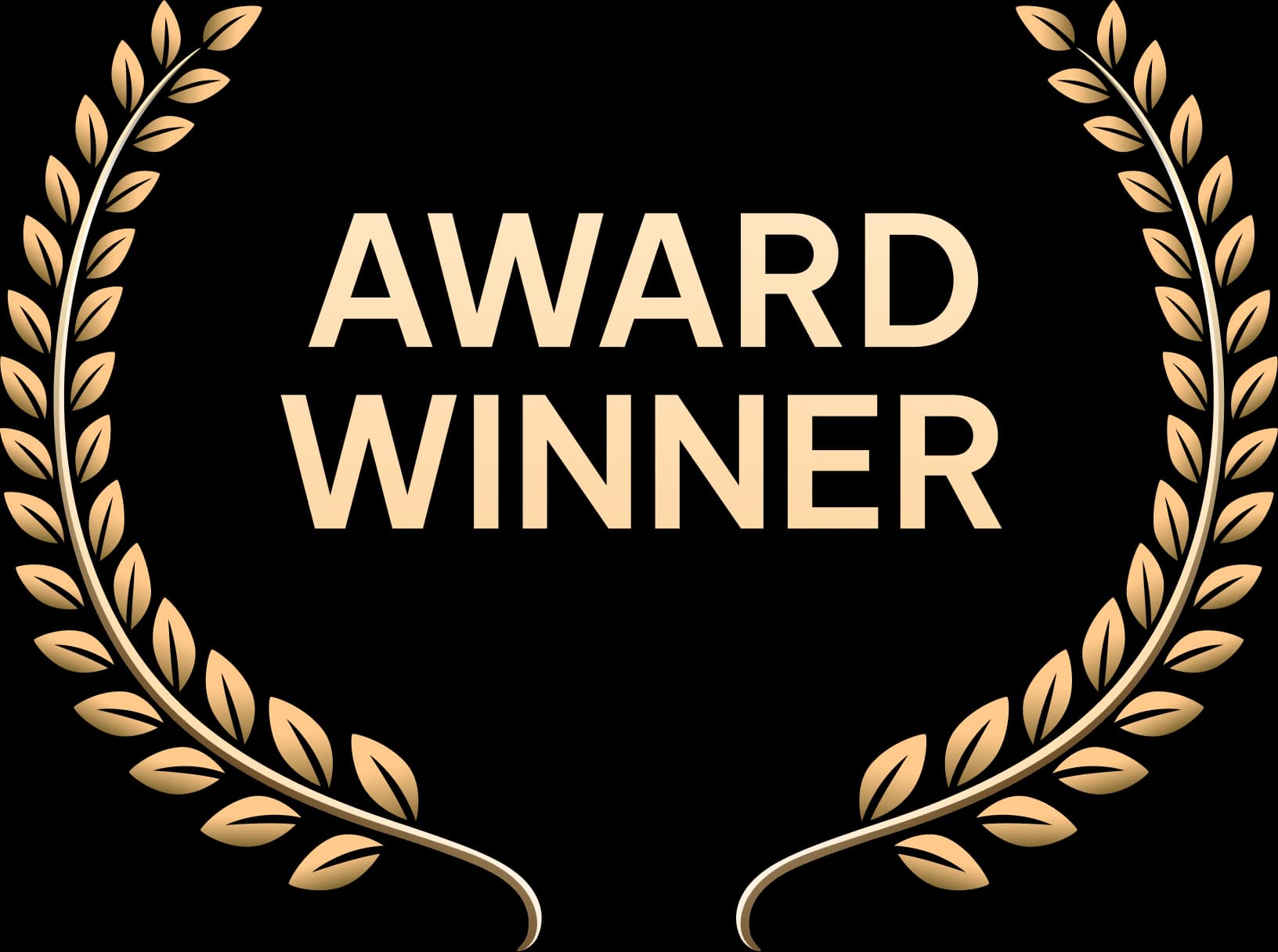 2019-2020-2021-2022-2023-2024