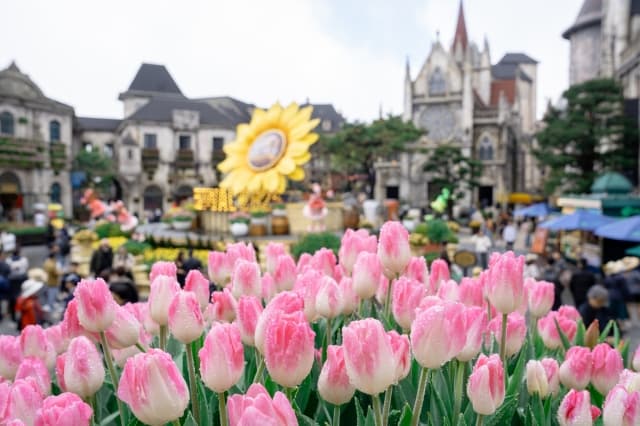 Sun World Ba Na Hills mở mùa du xuân Bính Ngọ với lễ hội và triệu sắc hoa tulip