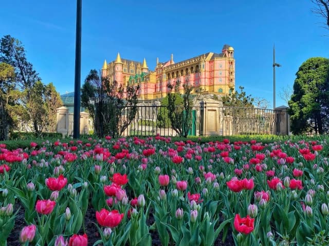 Sun World Ba Na Hills Tết Nguyên đán 2026: tấm vé 72 giờ mở ra hành trình du xuân giữa triệu đóa tulip