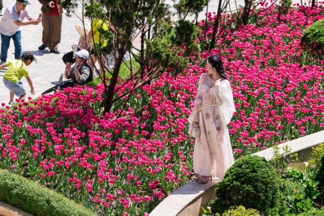 Người dân miền Trung – Tây Nguyên nô nức check in Lễ hội hoa Tulip tại Bà Nà