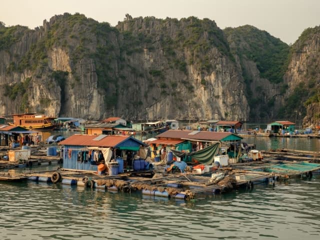 Khám phá làng chài Cái Bèo 7000 năm tuổi - Hành trình về với cội nguồn