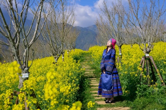 Du lễ đầu năm, nhất định không được bỏ qua đỉnh Fansipan với ngợp ngời hoa và ngập tràn lễ hội