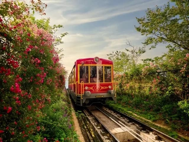 Đi tàu hoả Đỗ Quyên mùa nào đẹp nhất? Kinh nghiệm ngắm mùa hoa rực rỡ