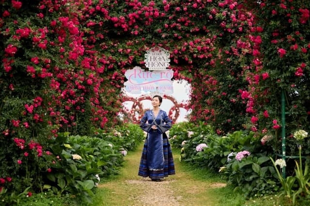 Lễ hội hoa hồng Sa Pa 2026: Triệu đóa hồng khoe sắc tại Sun World Fansipan Legend, dẫn đầu xu hướng du lịch dịp Giỗ Tổ và lễ 30/4 - 1/5