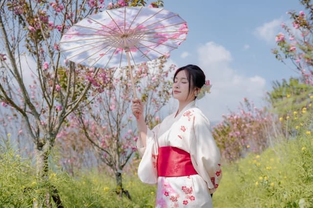 Ngỡ ngàng sắc hồng Anh đào kép phủ kín Fansipan tháng 4