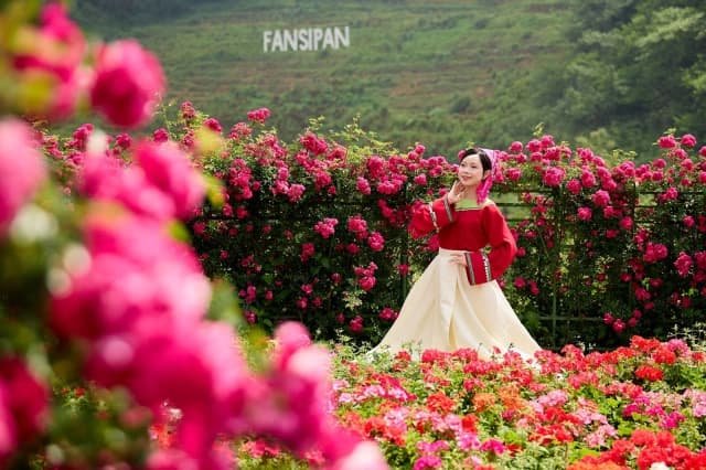 Du lịch Sa Pa 30/4: Đắm say với "Bản giao hưởng hoa hồng" tại Sun World Fansipan Legend