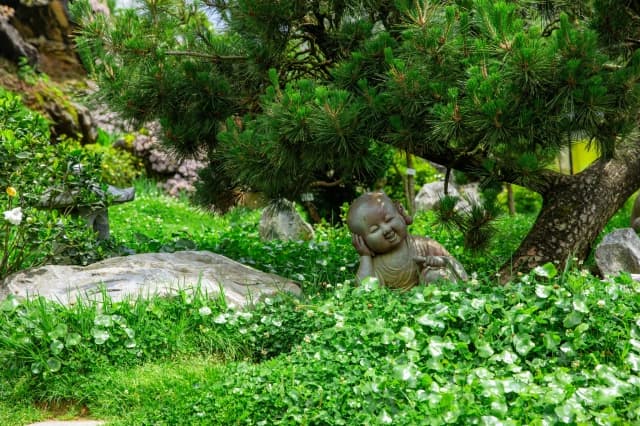An Nhien Garden: A healing space amidst Northwest nature