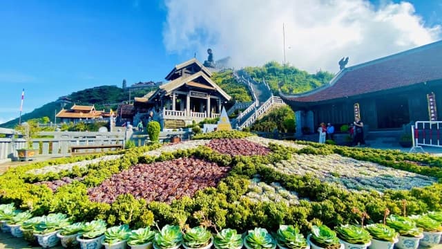 Thiên đường hoa sen đá đẹp mê hồn tại Sun World Fansipan Legend