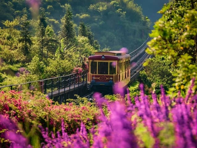 Khám phá tàu hỏa leo núi Mường Hoa siêu ấn tượng khi đi Fansipan