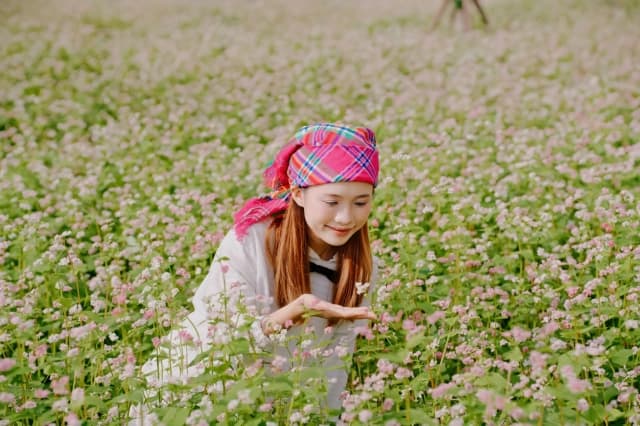 Mục sở thị tam giác mạch khoe sắc, hoa xác pháo tím điểm tô đỉnh Fansipan