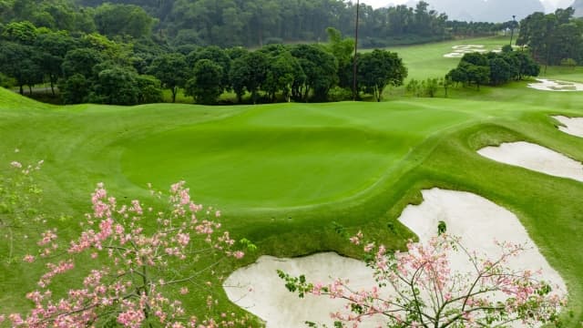 Sân golf Hà Nam: Trải nghiệm golf đẳng cấp tại miền Bắc