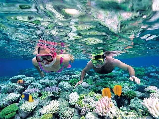 Snorkeling Hòn Thơm Phú Quốc: Thiên đường lặn ngắm san hô