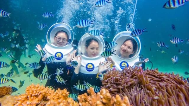 Công viên san hô Namaste Phú Quốc: thiên đường dưới đại dương