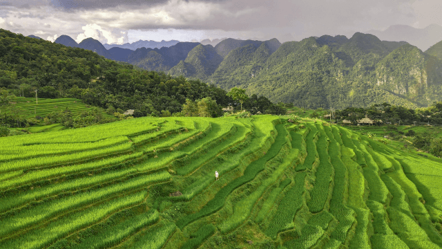 Bản Ươi Pù Luông - Nét yên bình mùa lúa chín trên đất Thanh Hóa