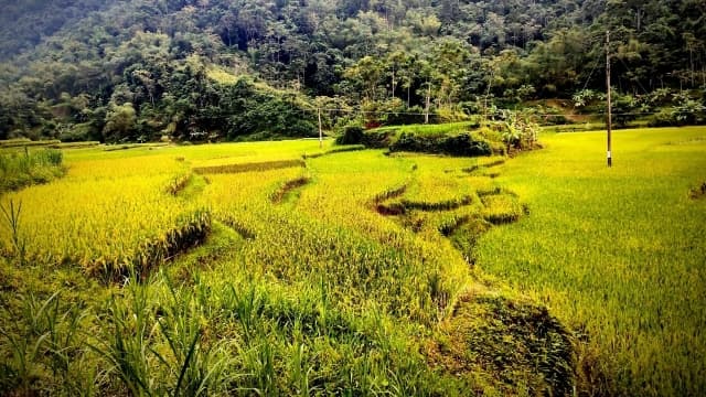 Trọn bộ bí kíp vi vu bản Eo Kén Thanh Hóa từ A đến Z