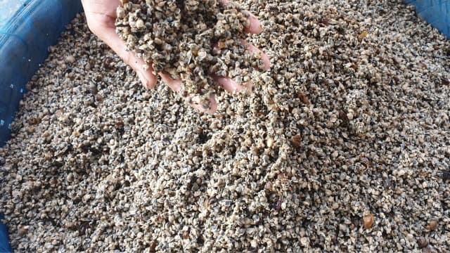 Discover the specialty of Giang Village Clams and tips for enjoying them.