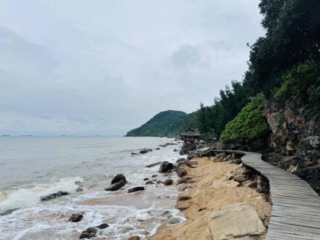 Kinh nghiệm khám phá bãi Đông Thanh Hóa hoang sơ tại Nghi Sơn