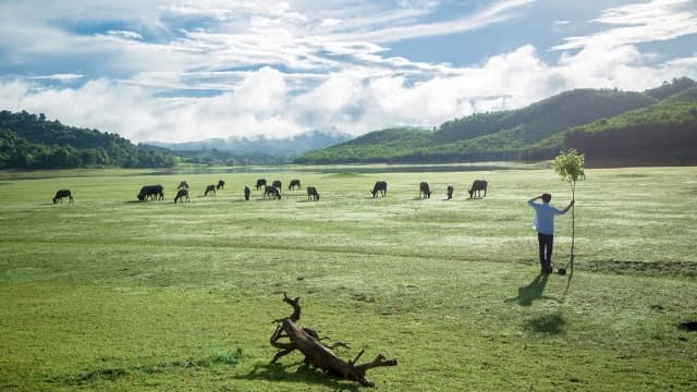 Trải nghiệm camping hồ Sông Mực giữa lòng thiên nhiên Thanh Hóa