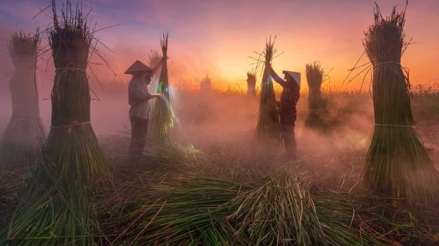Hành trình lưu giữ hồn Việt tại làng nghề chiếu cói Quảng Xương